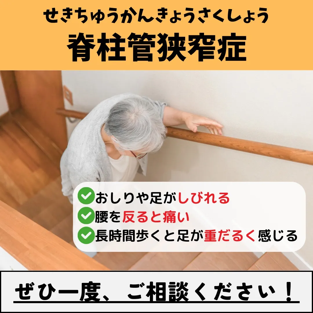 【野田市で脊柱管狭窄症なら野田整体院みくり家】