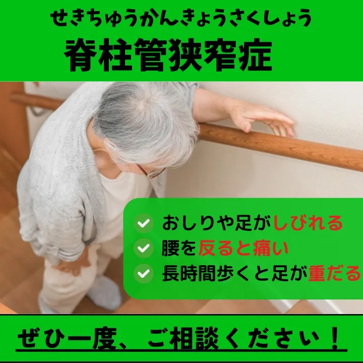 【野田市で脊柱管狭窄症なら】野田整体院みくり家へ！